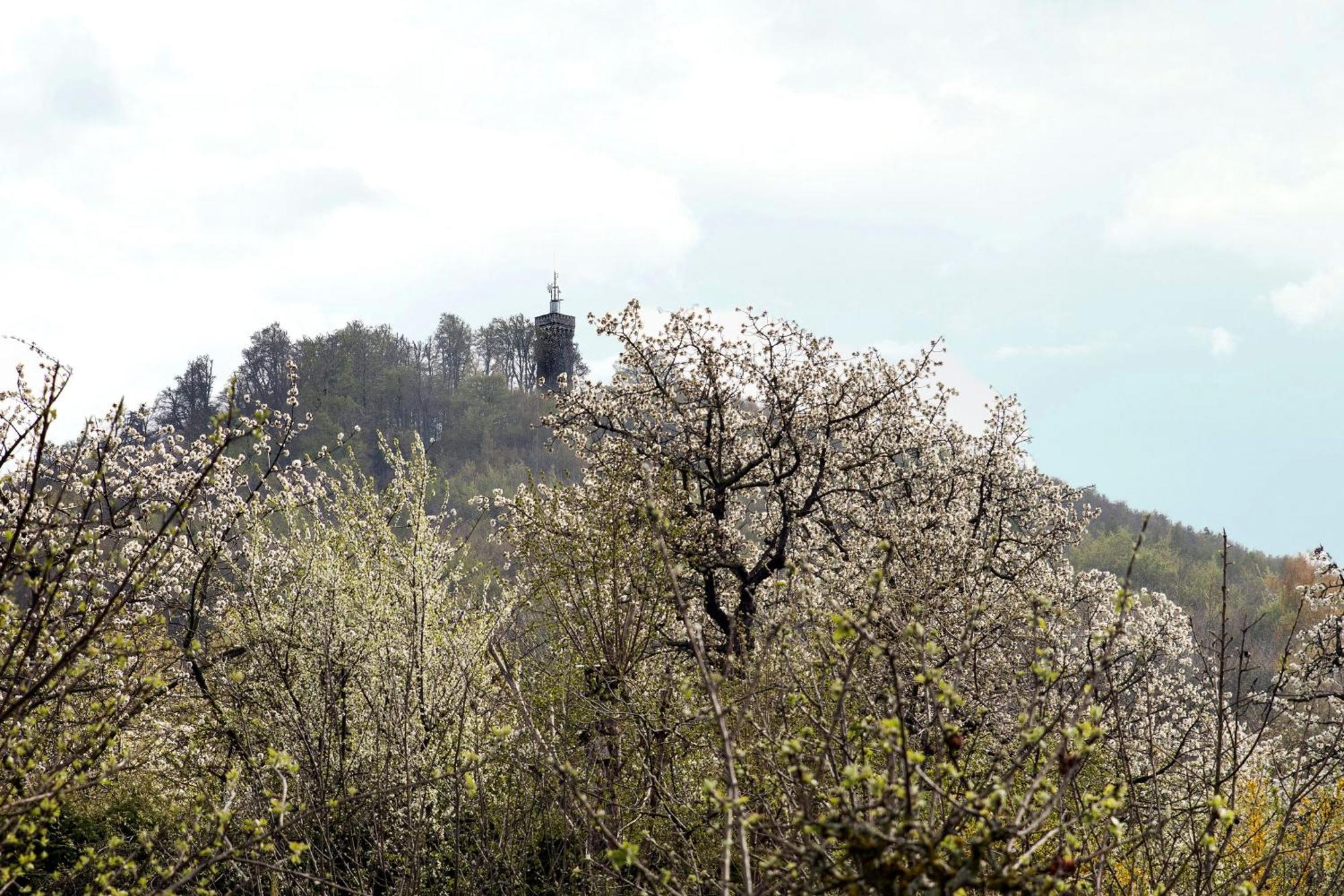 Ferienhaus "Am Staufenberg" Blankenburg  Εξωτερικό φωτογραφία