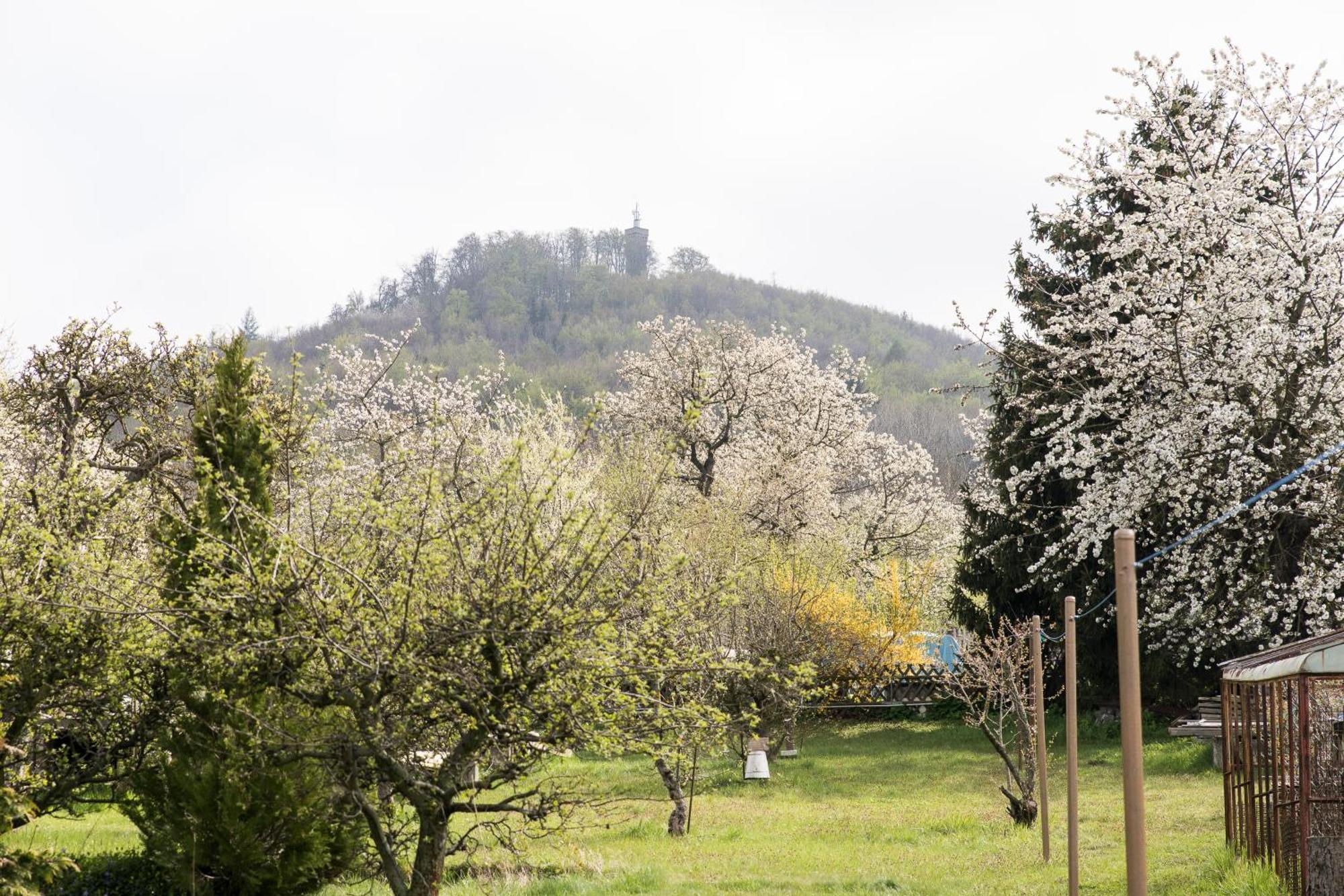 Ferienhaus "Am Staufenberg" Blankenburg  Εξωτερικό φωτογραφία
